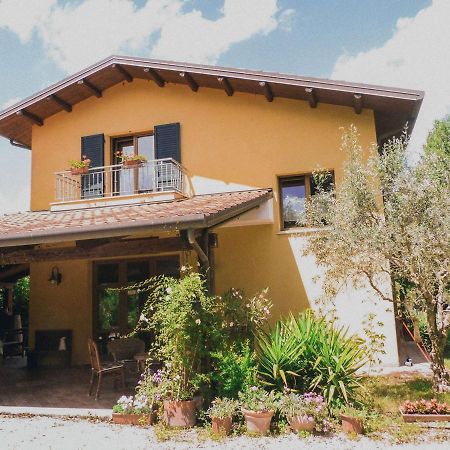 Pian Del Pigro Villa Rimini Exteriör bild