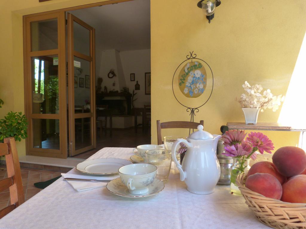 Pian Del Pigro Villa Rimini Exteriör bild