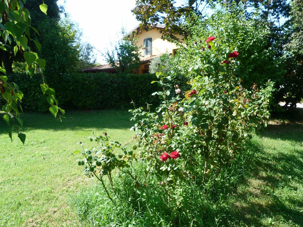Pian Del Pigro Villa Rimini Exteriör bild