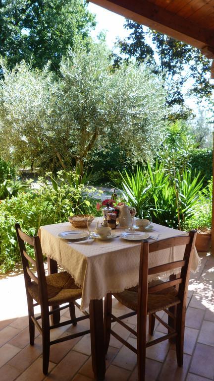 Pian Del Pigro Villa Rimini Exteriör bild