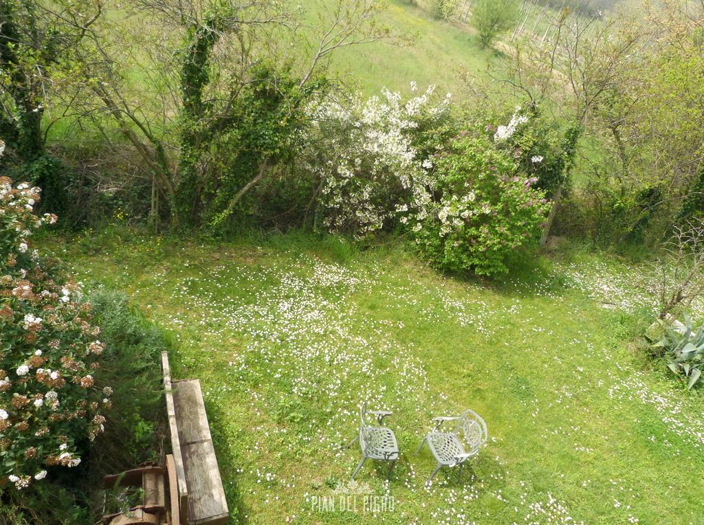 Pian Del Pigro Villa Rimini Exteriör bild