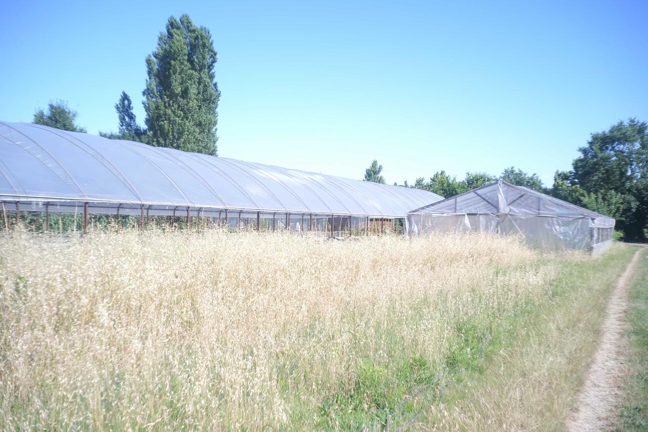 Pian Del Pigro Villa Rimini Exteriör bild