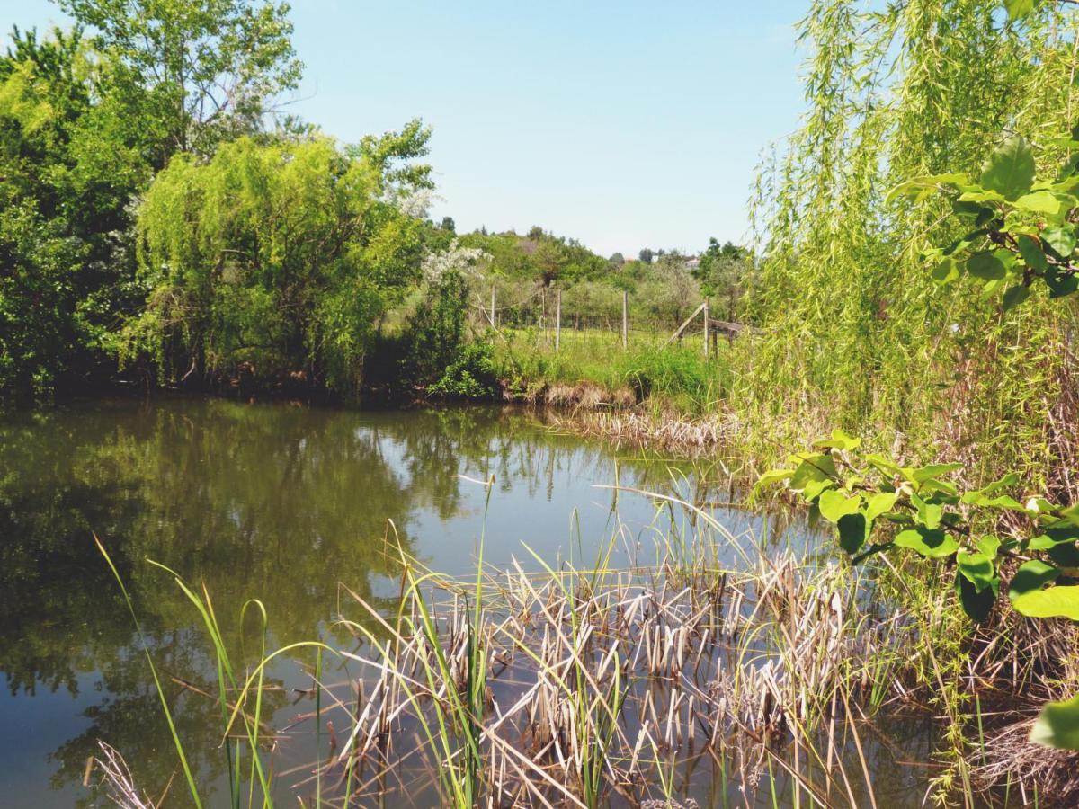 Pian Del Pigro Villa Rimini Exteriör bild